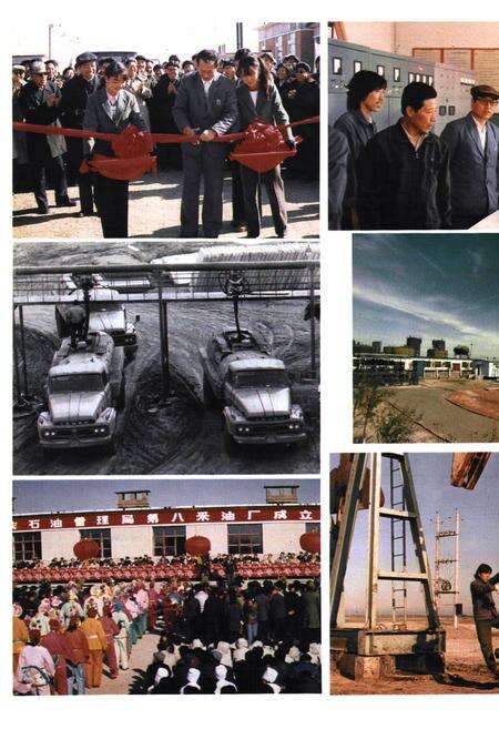 《第八采油厂志(1983-1989)》.pdf电子版_黑龙江省志预览图3