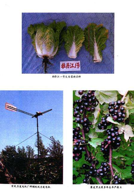 《牡丹江市科学技术志》.pdf电子版_黑龙江省志预览图5