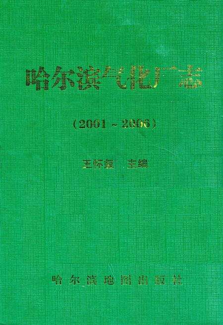 《哈尔滨气化厂志(2001-2006)》.pdf电子版_黑龙江省志缩略图