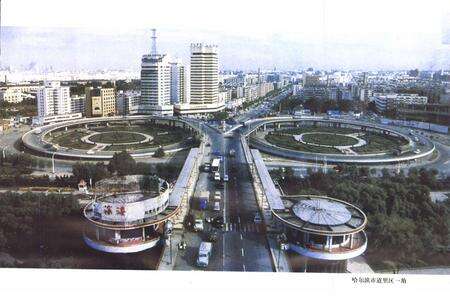 《哈尔滨市土地志(1896-1996)》.pdf电子版_黑龙江省志预览图5