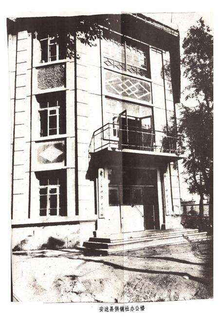 《安达县供销社志(1946-1981)》.pdf电子版_黑龙江省志预览图2