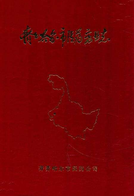 《《齐齐哈尔市医药商业志》》.pdf电子版_黑龙江省志缩略图