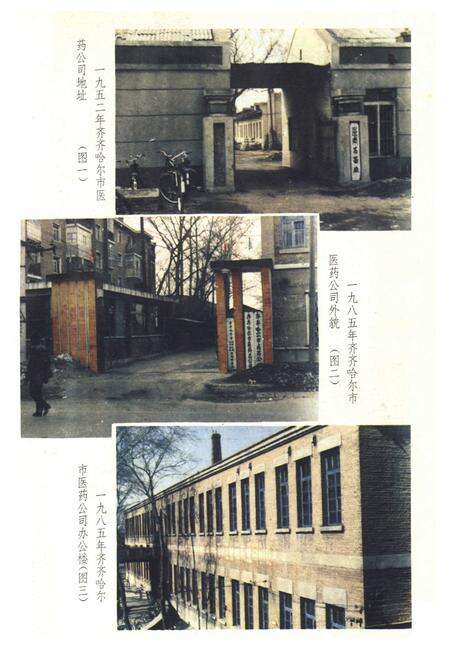 《《齐齐哈尔市医药商业志》》.pdf电子版_黑龙江省志预览图5