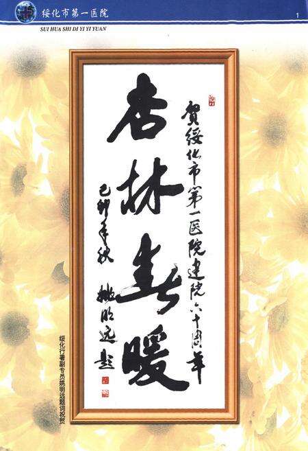 《《绥化市第一医院院志》第一卷(1939-1999)》.pdf电子版_黑龙江省志预览图2