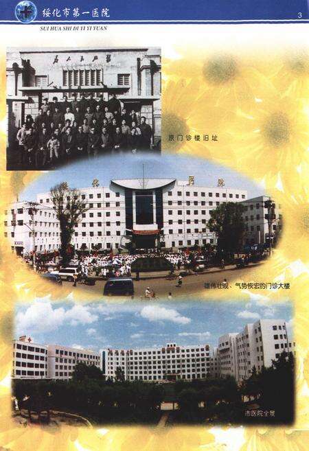 《《绥化市第一医院院志》第一卷(1939-1999)》.pdf电子版_黑龙江省志预览图4