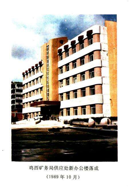 《鸡西矿物局供应志(1946-1990)》.pdf电子版_黑龙江省志预览图5