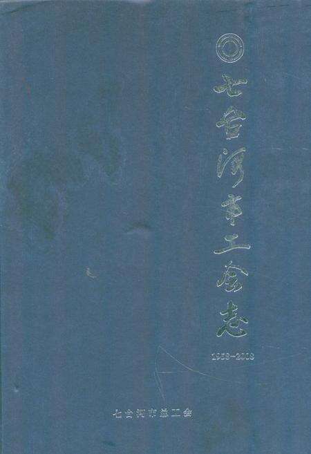 《《七台河市工会志(1958-2008)》》.pdf电子版_黑龙江省志缩略图