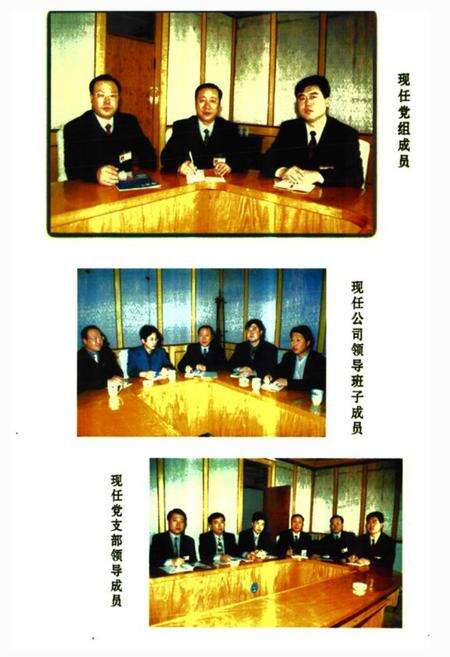 《《阿城保险志》》.pdf电子版_黑龙江省志预览图4