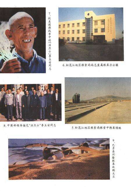 《《松花江粮食志》》.pdf电子版_黑龙江省志预览图5