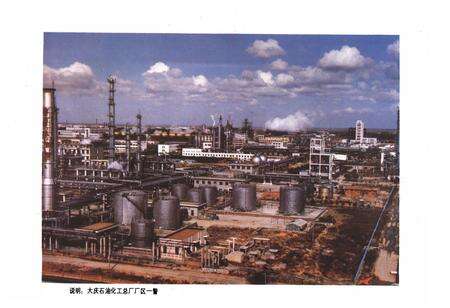 《《大庆市工会志》(1960-1985)》.pdf电子版_黑龙江省志预览图5