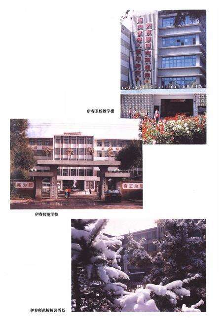 《《伊春教育志》》.pdf电子版_黑龙江省志预览图4