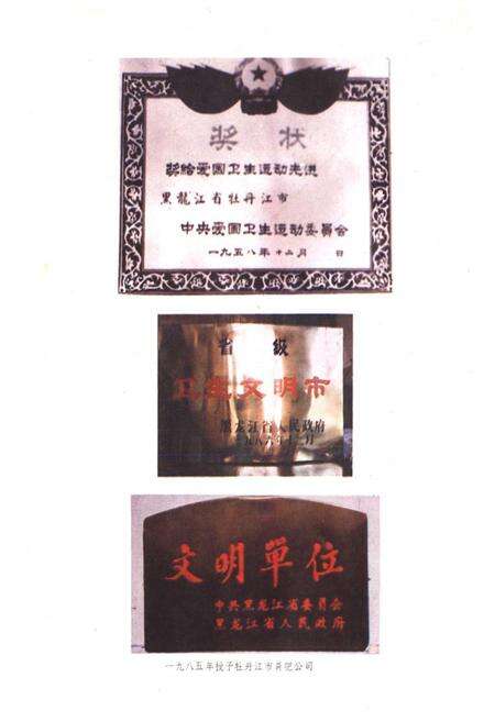 《《牡丹江市环卫志》》.pdf电子版_黑龙江省志预览图2