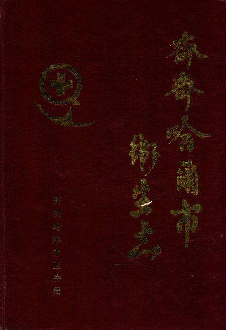 《《齐齐哈尔市卫生志》》.pdf电子版_黑龙江省志缩略图