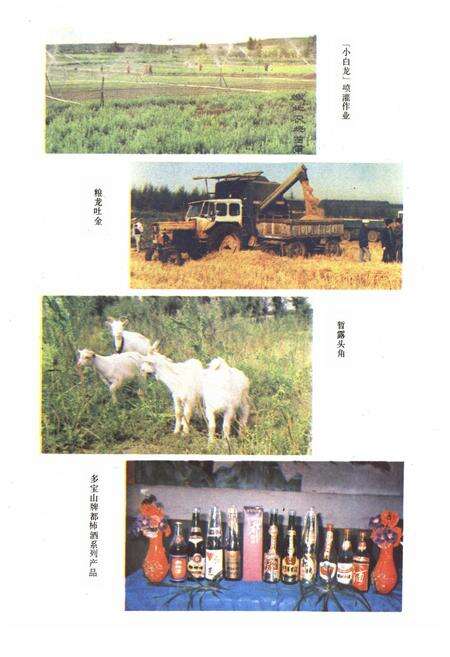 《《嫩北农场志》(1955-1985)》.pdf电子版_黑龙江省志预览图5