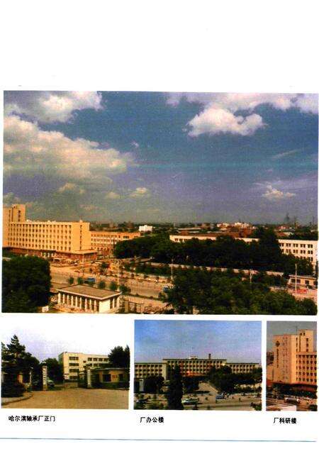 《《哈尔滨轴承厂史志(1950-1985)》》.pdf电子版_黑龙江省志预览图4