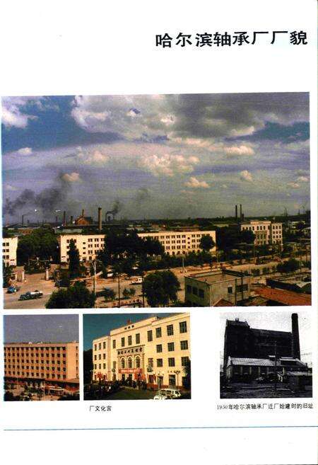 《《哈尔滨轴承厂史志(1950-1985)》》.pdf电子版_黑龙江省志预览图5
