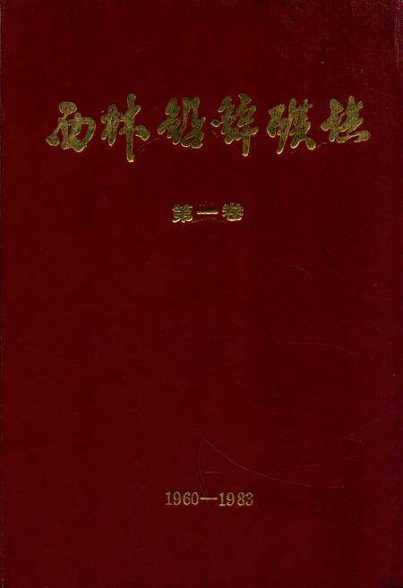 《《西林铅锌矿志》第一卷(1960-1983)》.pdf电子版_黑龙江省志缩略图
