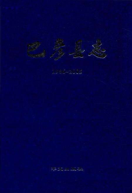 《《巴彦县志》(1986-2005)》.pdf电子版_黑龙江省志缩略图