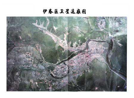 《《伊春区志》(1986-2005)》.pdf电子版_黑龙江省志预览图4