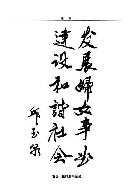 《《鸡西女联志(1946-2006)》》.pdf电子版_黑龙江省志预览图5