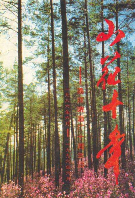 《山花十年——通河啤酒厂十周年志(一九八六年六月-一九九六年六月)》.pdf电子版_黑龙江省志缩略图