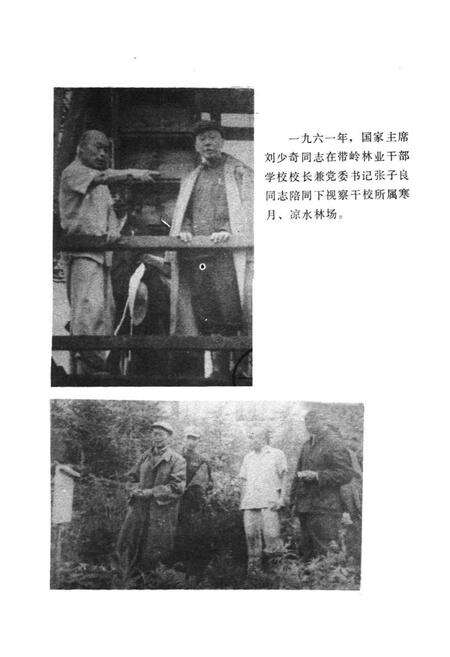 《黑龙江省森林工业教育志》.pdf电子版_黑龙江省志预览图2