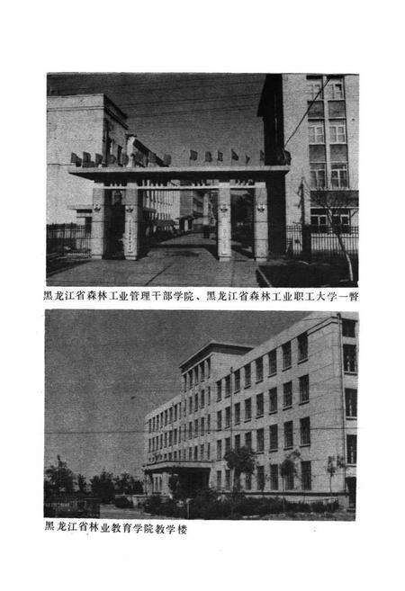 《黑龙江省森林工业教育志》.pdf电子版_黑龙江省志预览图3