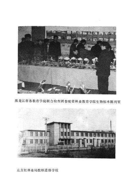 《黑龙江省森林工业教育志》.pdf电子版_黑龙江省志预览图4