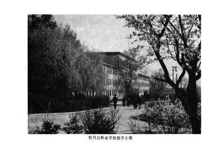 《黑龙江省森林工业教育志》.pdf电子版_黑龙江省志预览图5
