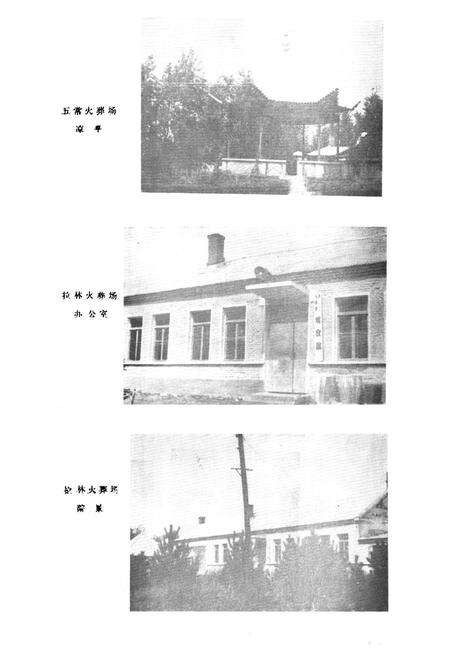 《五常县民政志》.pdf电子版_黑龙江省志预览图3