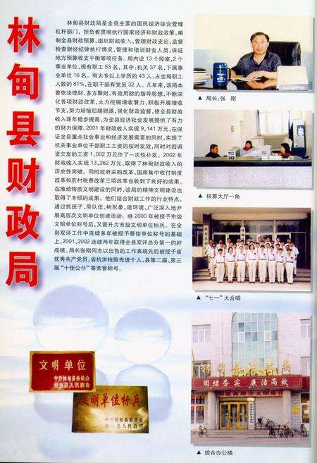 《《林甸县简志(2001年)》》.pdf电子版_黑龙江省志预览图2