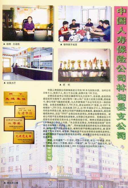 《《林甸县简志(2001年)》》.pdf电子版_黑龙江省志预览图5