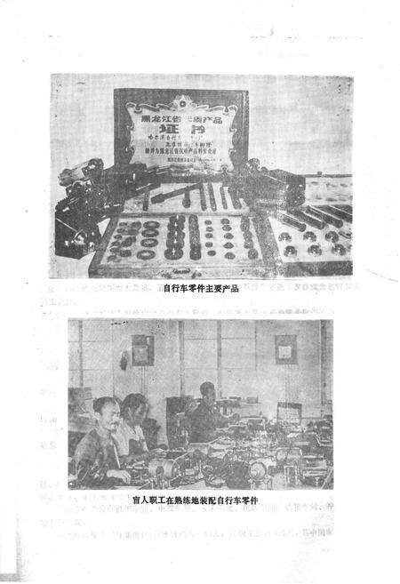 《哈尔滨自行车零件一厂志(1954-1984.12)》.pdf电子版_黑龙江省志预览图3