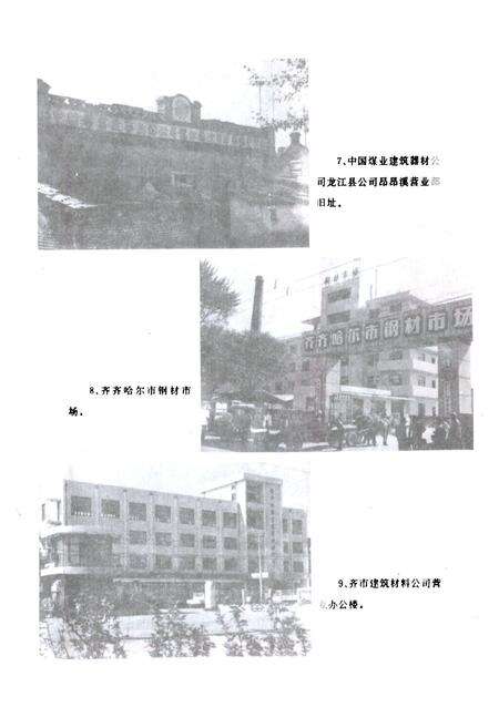 《齐齐哈尔市物资志》.pdf电子版_黑龙江省志预览图4