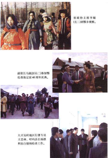 《白银纳鄂伦春族乡志》.pdf电子版_黑龙江省志预览图5