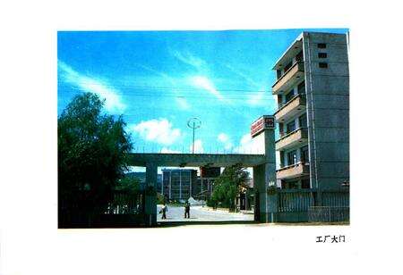 《牡丹江树脂厂厂志(1965-1982)》.pdf电子版_黑龙江省志预览图2