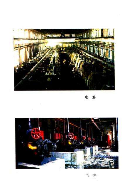 《牡丹江树脂厂厂志(1965-1982)》.pdf电子版_黑龙江省志预览图4