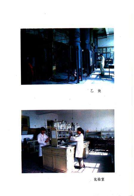 《牡丹江树脂厂厂志(1965-1982)》.pdf电子版_黑龙江省志预览图5