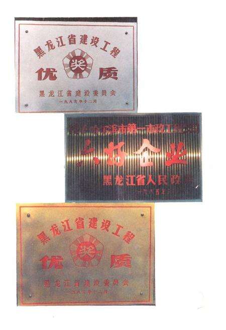 《哈尔滨市第一市政工程公司(1952-1978)》.pdf电子版_黑龙江省志预览图3