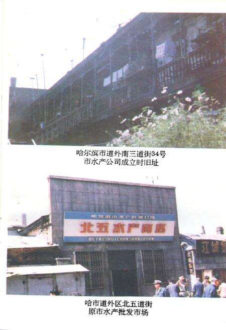 《《哈尔滨水产供销志》》.pdf电子版_黑龙江省志预览图4