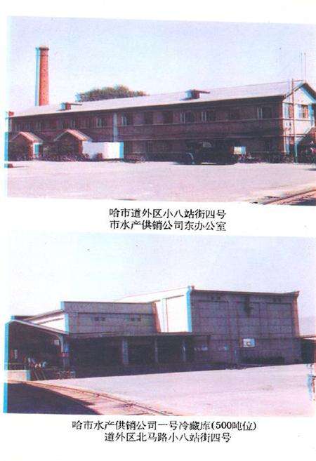 《《哈尔滨水产供销志》》.pdf电子版_黑龙江省志预览图5