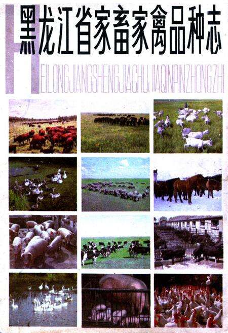 《《黑龙江省家畜家禽品种志》》.pdf电子版_黑龙江省志缩略图