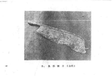 《黑龙江古代简志》.pdf电子版_黑龙江省志预览图4