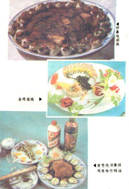 《黑龙江名菜志》.pdf电子版_黑龙江省志预览图4
