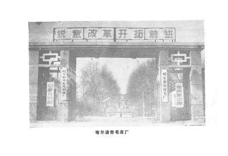 《哈尔滨市皮毛厂志(1948-1984)》.pdf电子版_黑龙江省志预览图4