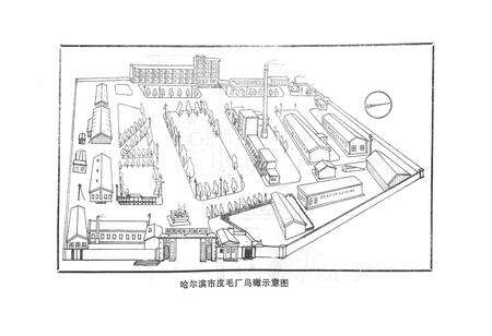 《哈尔滨市皮毛厂志(1948-1984)》.pdf电子版_黑龙江省志预览图5