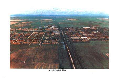 《二九○农场志(1955-1985)》.pdf电子版_黑龙江省志预览图4