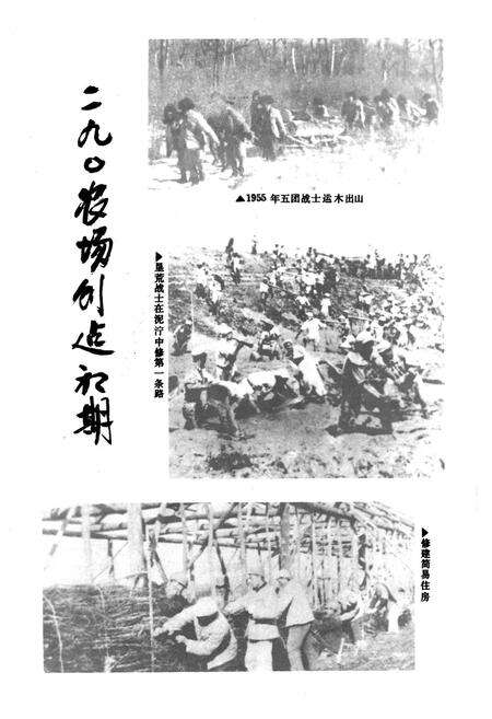 《二九○农场志(1955-1985)》.pdf电子版_黑龙江省志预览图5