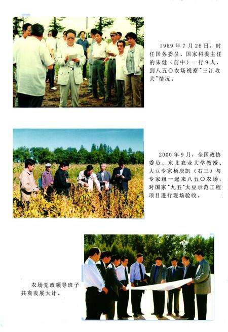 《《八五○农场志(1985-2000)》》.pdf电子版_黑龙江省志预览图5