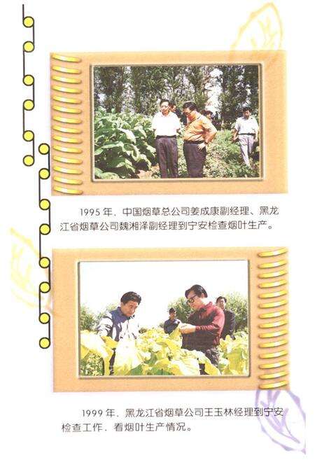 《《宁安烟草通志》》.pdf电子版_黑龙江省志预览图5